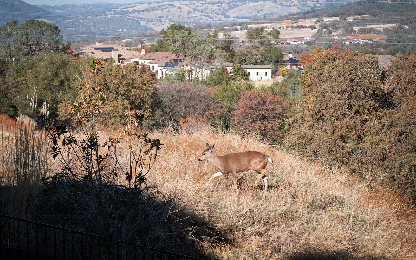 Folsom rolling hills and landscape